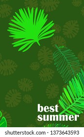 Leaves of tropical plants. Color summer postcard, summer vacation. Vector background.