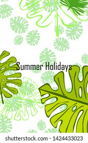 Leaves of tropical plants. Color summer postcard, summer vacation. Vector background.