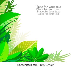 leaves of tropical plants. Corner background with space for text
