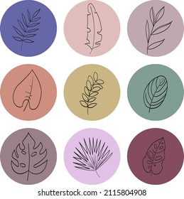 Leaves of tropical plants in a hand-drawn style. Set of icons for highlights, templates for blog and social media