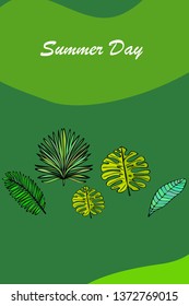 The leaves are tropical plants. Summer rest. Tropical design. Vector background.