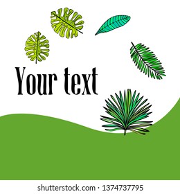 The leaves are tropical plants. Summer rest. Tropical design. Vector background.