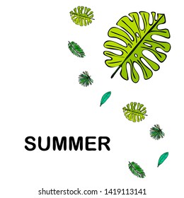 The leaves are tropical plants. Summer rest. Tropical design. Vector background.