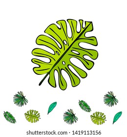The leaves are tropical plants. Summer rest. Tropical design. Vector background.