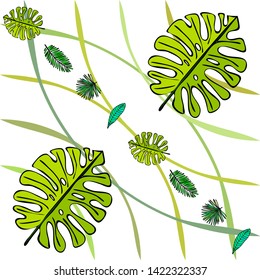 The leaves are tropical plants. Summer rest. Tropical design. Vector background.