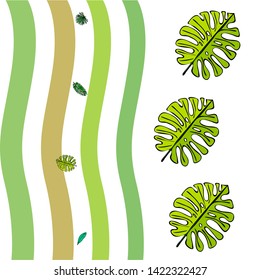 The leaves are tropical plants. Summer rest. Tropical design. Vector background.
