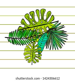 The leaves are tropical plants. Summer rest. Tropical design. Vector background.