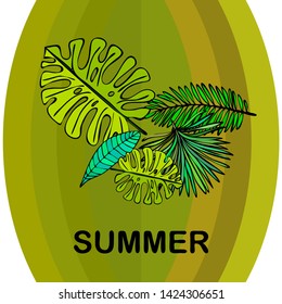 The leaves are tropical plants. Summer rest. Tropical design. Vector background.