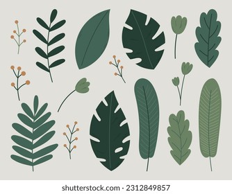 Leaves of tropical plants, trees and palms. Monstera, branches with flowers and berries. Vector set of isolated flat illustrations.