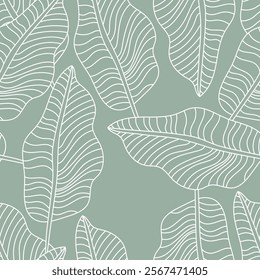 Leaves. Tropical seamless background pattern. Graphic design with amazing palm trees suitable for fabrics, packaging, covers. Vector poster. Green