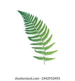 Leaves of tropical trees, ferns, exotic leaves, stamp, leaf shape, leaf stencils, color gradient, element, bright sticker, design with graphic symbols of the logo, the ability to change color and size