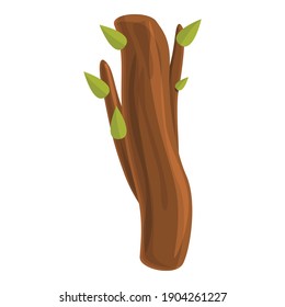 Leaves trunk tree icon. Cartoon of leaves trunk tree vector icon for web design isolated on white background