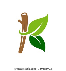 leaves and twigs