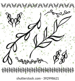 Leaves and twigs. Black. Floral pattern and ornament. Vector.