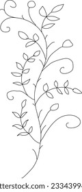 Leaves and twigs on a white background. Elegant thin twigs of plants. Floral elements, Wildflower line art design, Grass line art. abstract leaves icon. hand drawn doodle.vector, scandinavian, nordic.