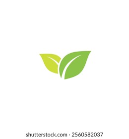 Leaves. Two leaves on white background. Environment. Beauty logo. Vector image.