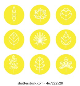 Leaves types yellow icons vector set. Modern flat design.