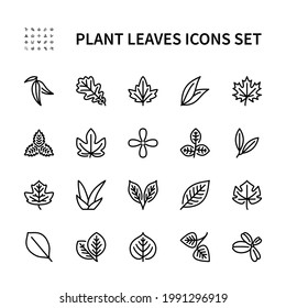 Hojas de plantas útiles conjunto de iconos vectoriales lineales. Análisis de alimentos saludables. Diseñar hojas de árboles, arbustos, bayas, verduras y más. Colección aislada de hojas para sitios web icono sobre fondo blanco.