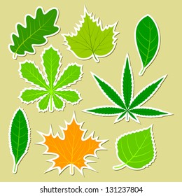 Leaves of various plants in the form of stickers. The isolated objects on a light background.