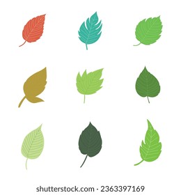 leaves of various plants white background.
