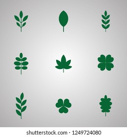 Leaves - various shapes - vector design set