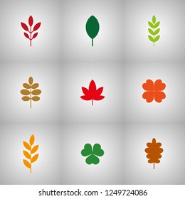 Leaves - various shapes - vector design set