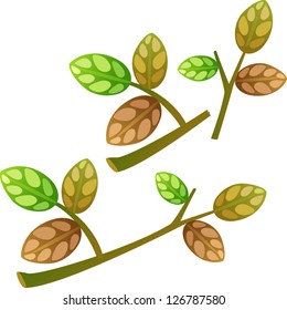 leaves. Vector