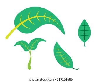 Leaves Vector