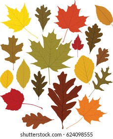 Leaves (vector)