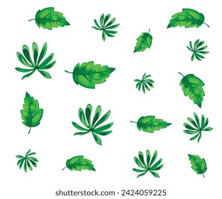 leaves vector art design PNG