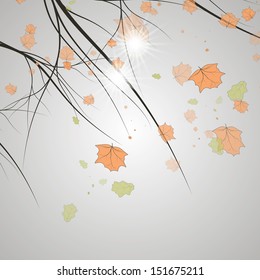 Leaves vector background, colorful environment leaf illustration eps10