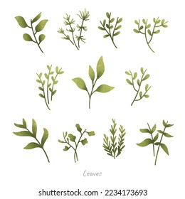 leaves vector bundle set design illustration for ecology resources