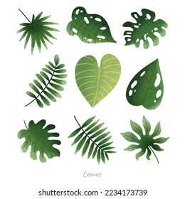 leaves vector bundle set design illustration for ecology resources