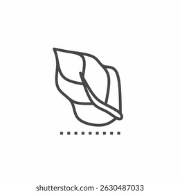 Leaves vector collection. Illustration design for business. Stock vector.