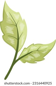 hojas, vector, diseño, ilustración, gráfico