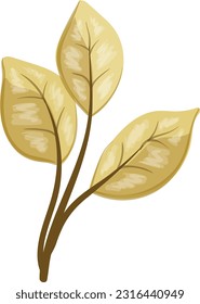 leaves, vector, design, illustration, graphic