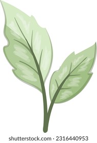 hojas, vector, diseño, ilustración, gráfico