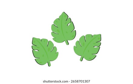 Leaves vector design for use