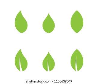 leaves vector icon