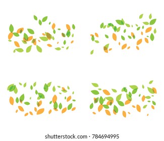 Leaves vector icon