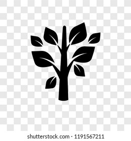 Leaves vector icon isolated on transparent background, Leaves transparency logo concept
