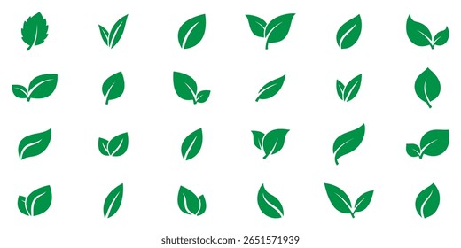 Leaves vector icon set, leaf herb green simple graphic pictogram illustration isolated on white background. Set of green leaf icons. Leaves icon. Leaves of trees and plants. Collection green leaf.