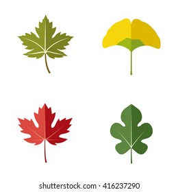 Sycamore Leaves Images Stock Photos Vectors Shutterstock