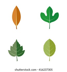 471 Sassafras tree leaves Images, Stock Photos & Vectors | Shutterstock