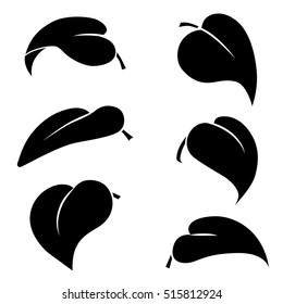 Leaves vector icons different shapes in modern flat style