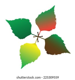leaves vector illustration