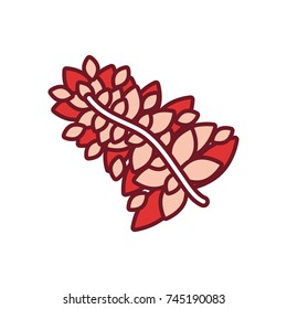 leaves  vector illustration