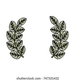 leaves vector illustration
