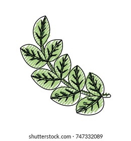 leaves vector illustration