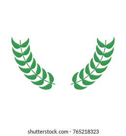 leaves  vector illustration